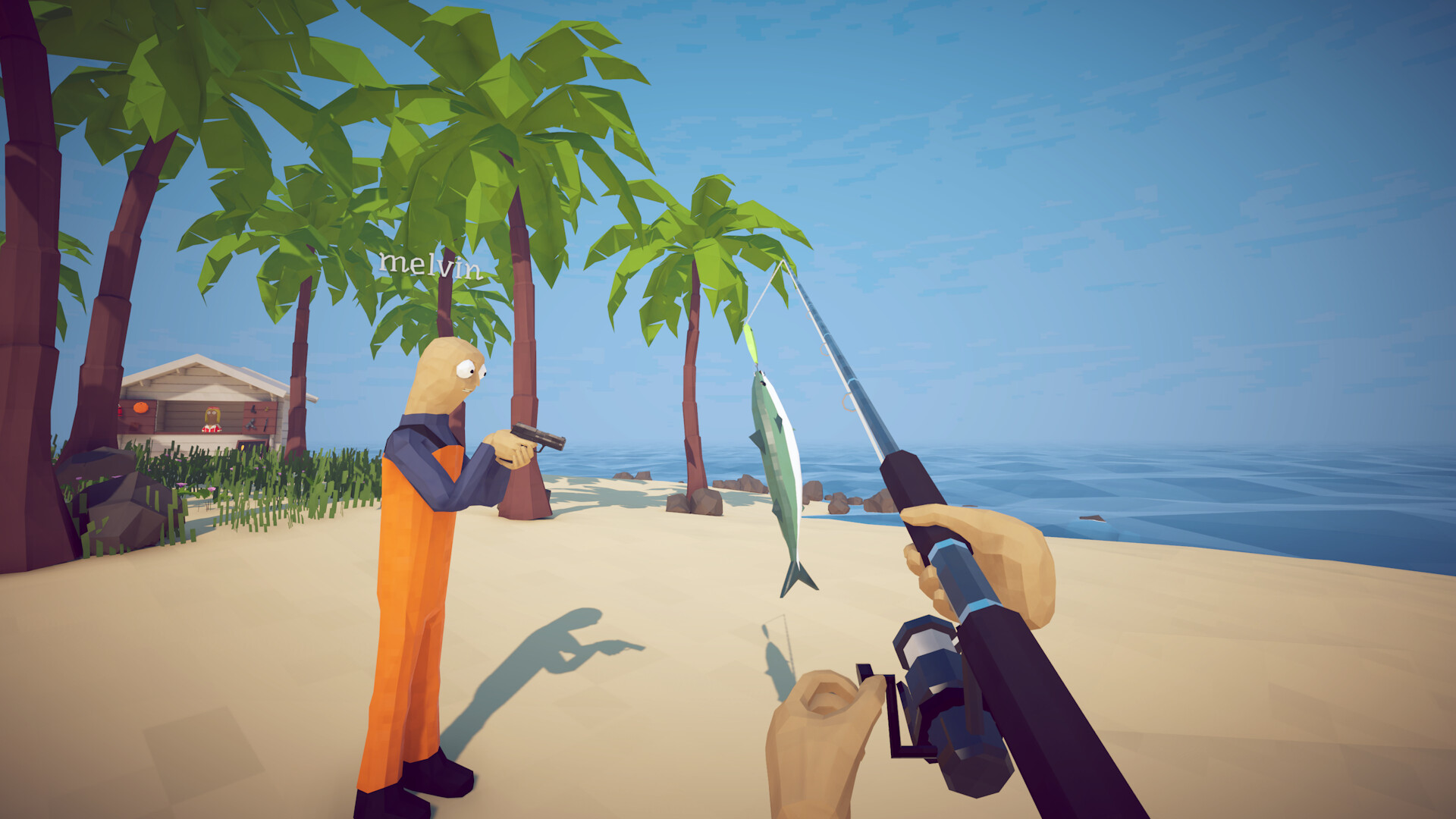 Casting a rod on a tropical beach in How to Fish